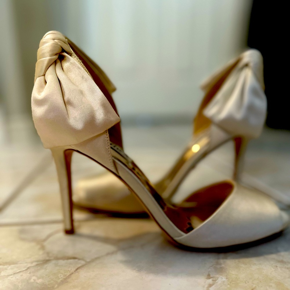 Brand new Badgley Mischka wedding/party shoes 6.5